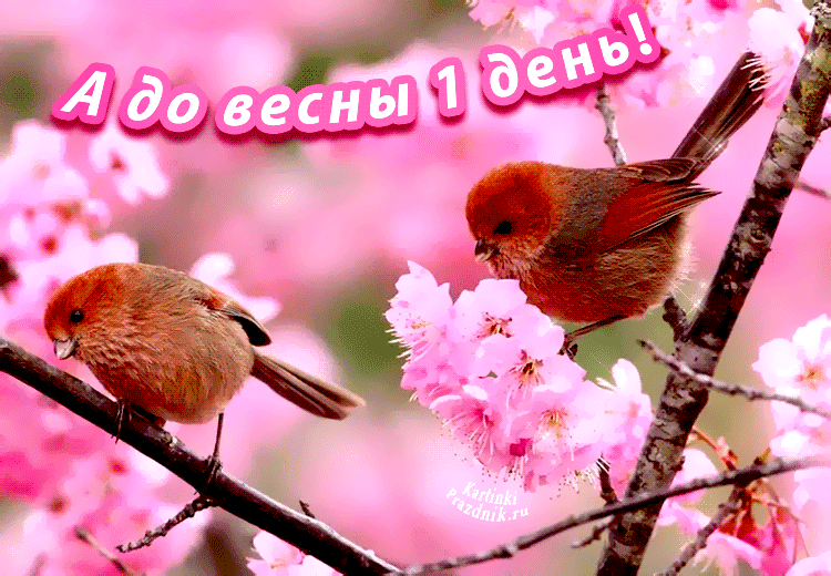 ��� �����