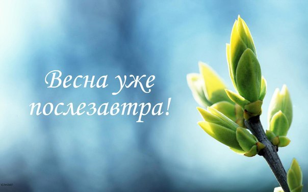 ��� �����