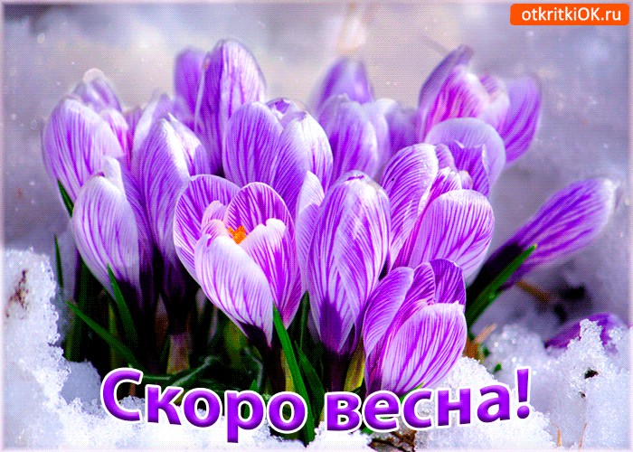 ��� �����