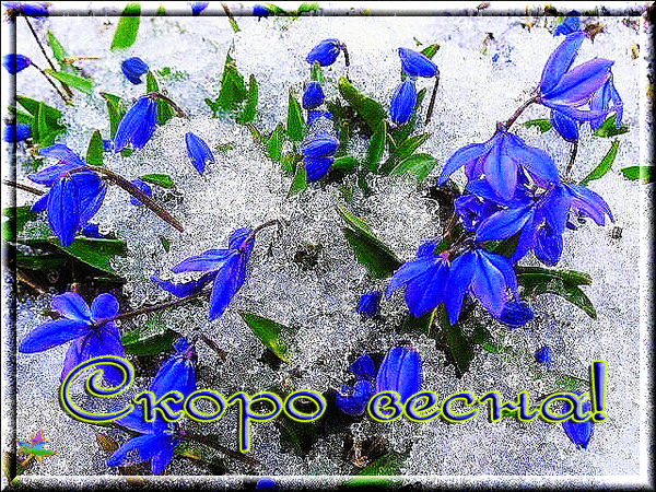 ��� �����