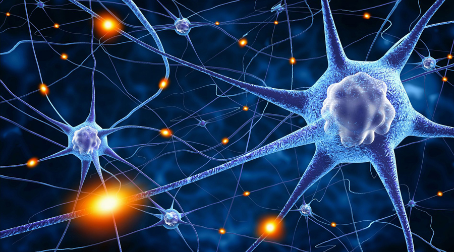 ������ - ����� � ����������� ��������� �����, �������, ��������� �� ����� ����� �����