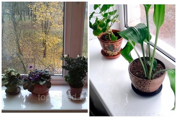 � ������� ���� ������ ������ ��� ����� ������������ ��� ������ ������������, ������... �� � ����� ������ ����������!