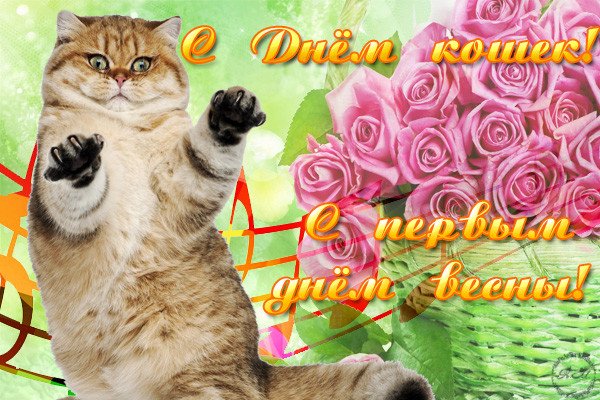 � ����������!