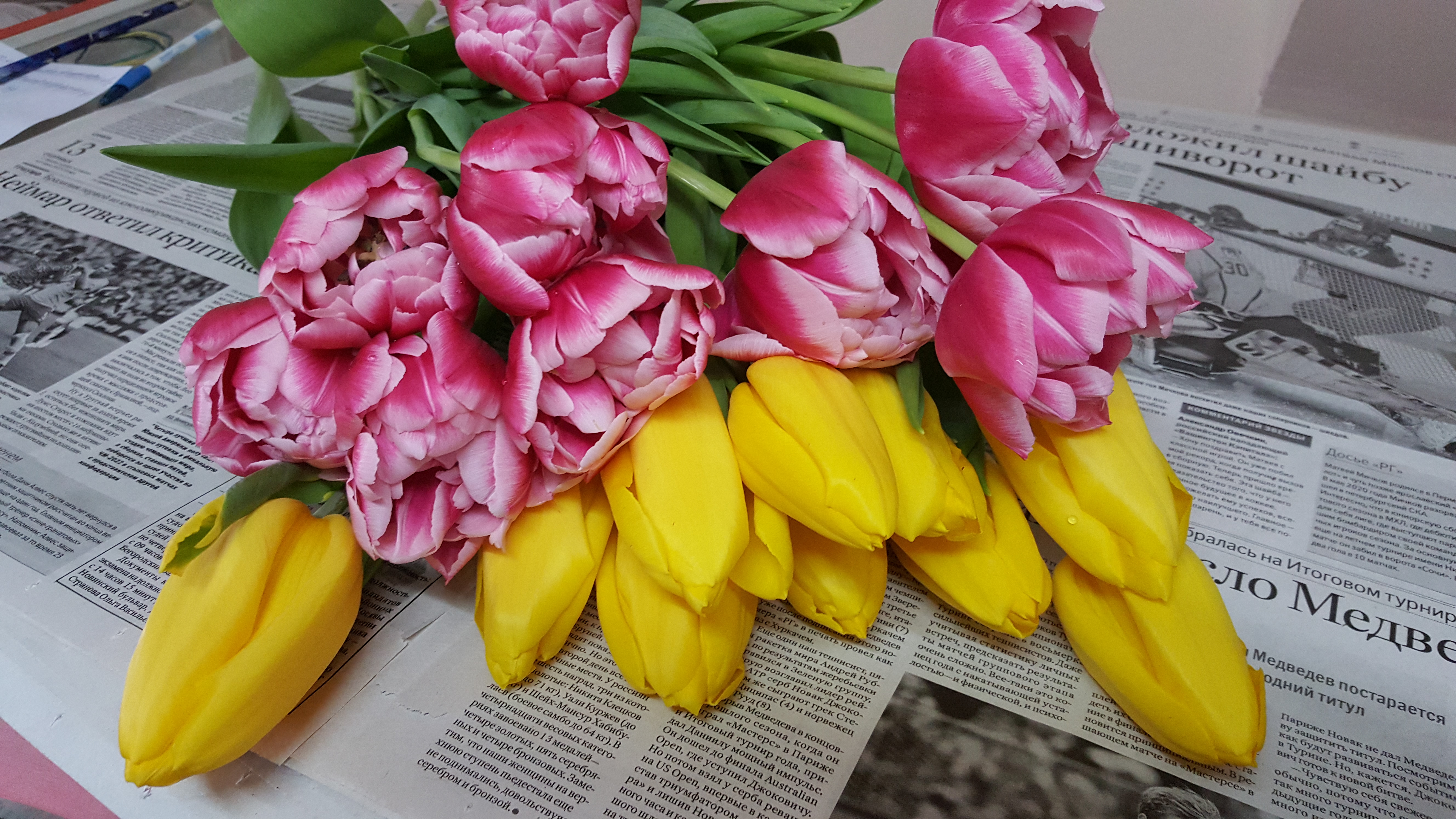 �������� ��������