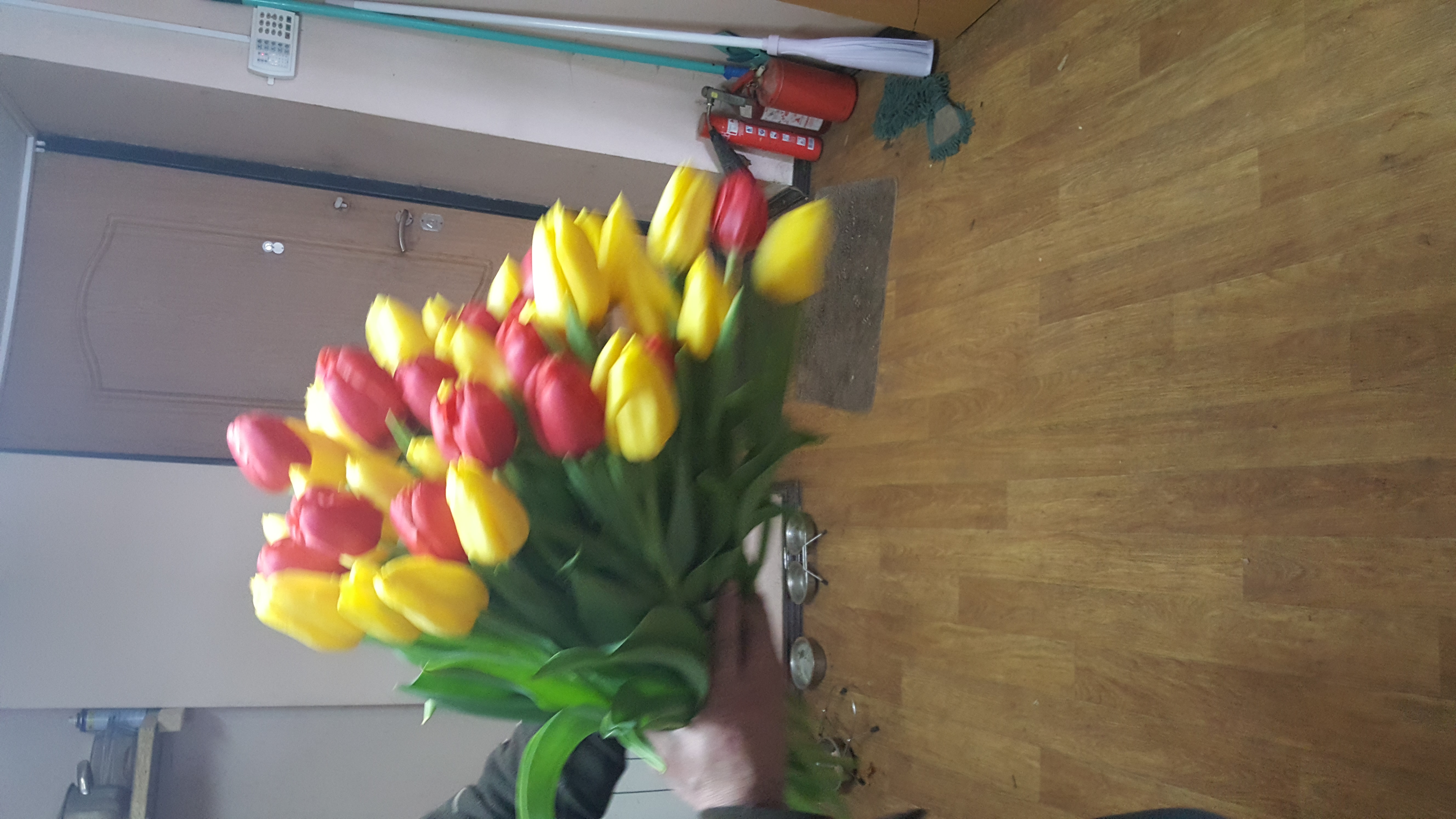 �������� ��������