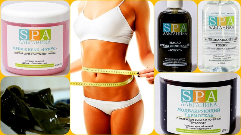 ���� �������. A��*�a���a. Spa-��������� ����������������� ������ �� ������ ����������� ������� ����������. 18 �����