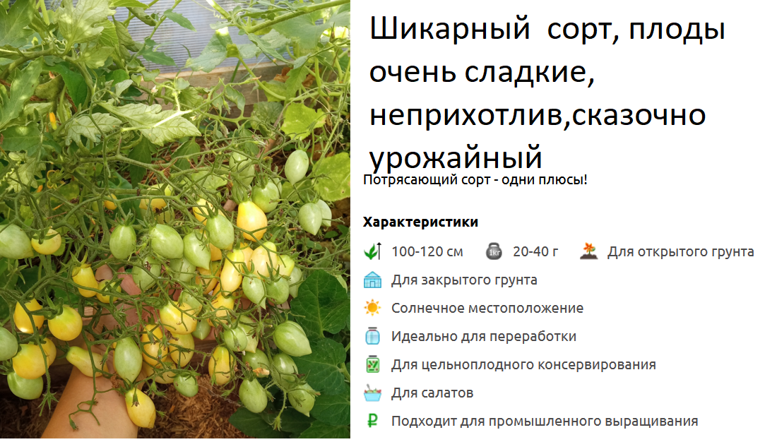 ������� ������� � ��������� ������� � ����� �������� ���������.