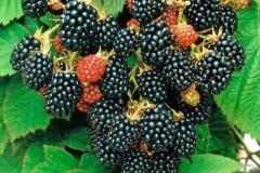 �������� ���� �� 21.03. ���������-��������� �������! ���������, �������, ���������, �������, ����, ������, ��������, ��������. ��������, ������ , �������, ��������, ������, � ������. ��� ����!!!! ������� ������� 