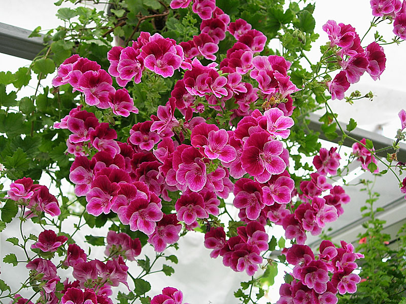 ���� ������� �� 3.04. ������������ ���������� - ���������, �����������, ���������, ��������, � ������� �������. �������� �����. ��������! ������ �� �����, ������� ��� ������������ � �������������, ����� �������. ��������� �� ����� 2022. ����� 4