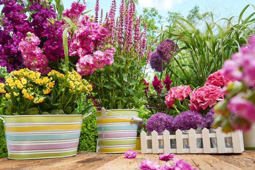 ��� ��������! ���������, ���������, ���������, �������� ��������, ����. ��������, ��������� �����, ������, ��������� �������, �����, ����� � ��. ����� 132