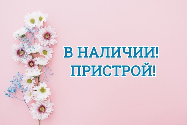 �������� ��������