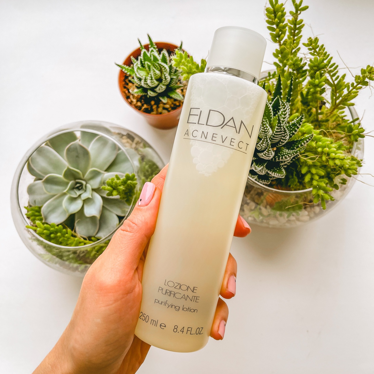 Tegor , Christina , Gigi , Janssen , Anna Lotan , Juliette Armand , Beauty Style , Eldan , Sesderma , Declare , Histomer , Gehwol , Babor - ������� ������ ����.��������� ��� ���� � ���� - 8/22.