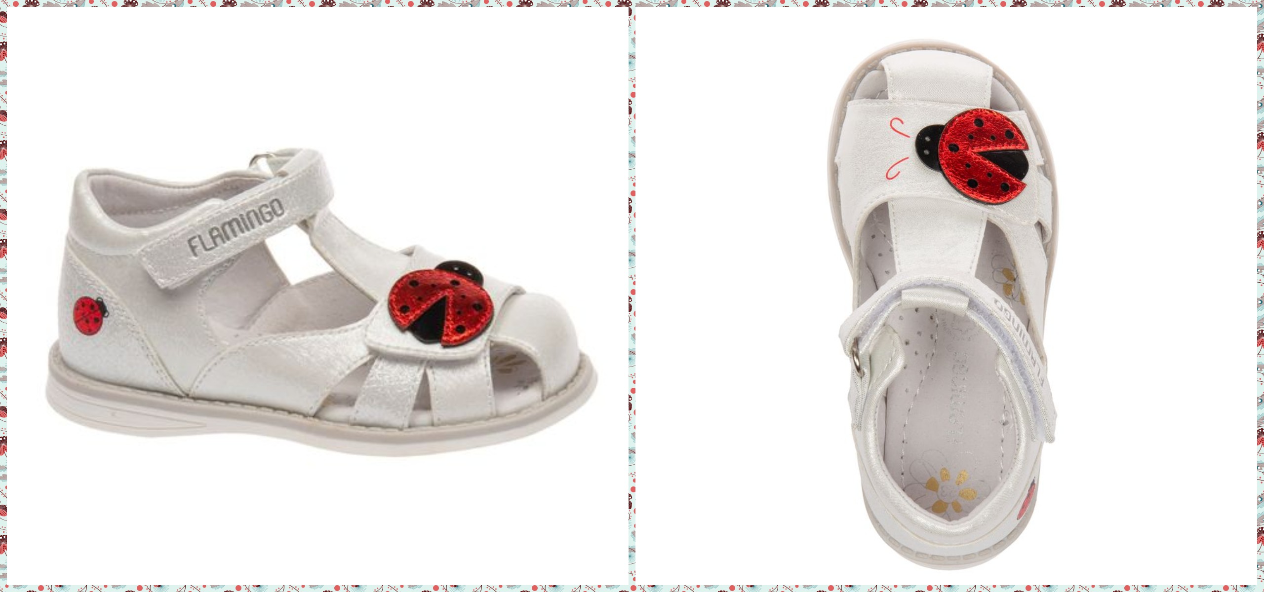 ��������� �� �������! ����-����������������, ����� ������� ��������� ������� 22,24