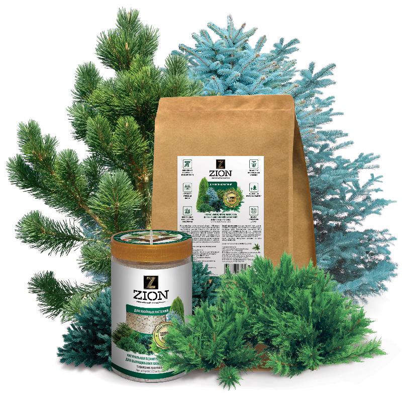 �ӣ ��� ���������� ������������� ����������. ������ ����������� � ���������� ��������� ��� ���� � ����� �����