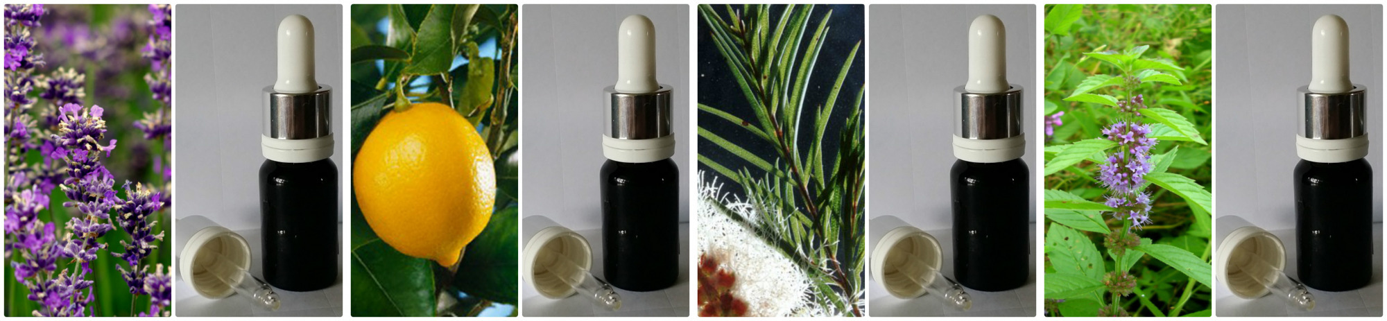 �������� ������� ����� ��� ��������. ������� � ��������.