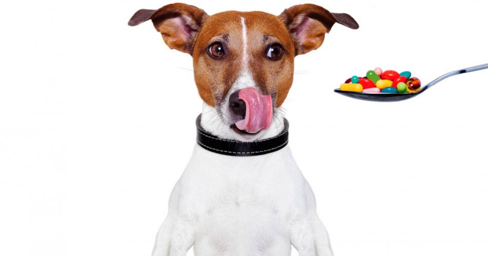 �������� ����� �� ������ �����! �� � ����� �������� ��������! �������� � ���� ����� ���������! 