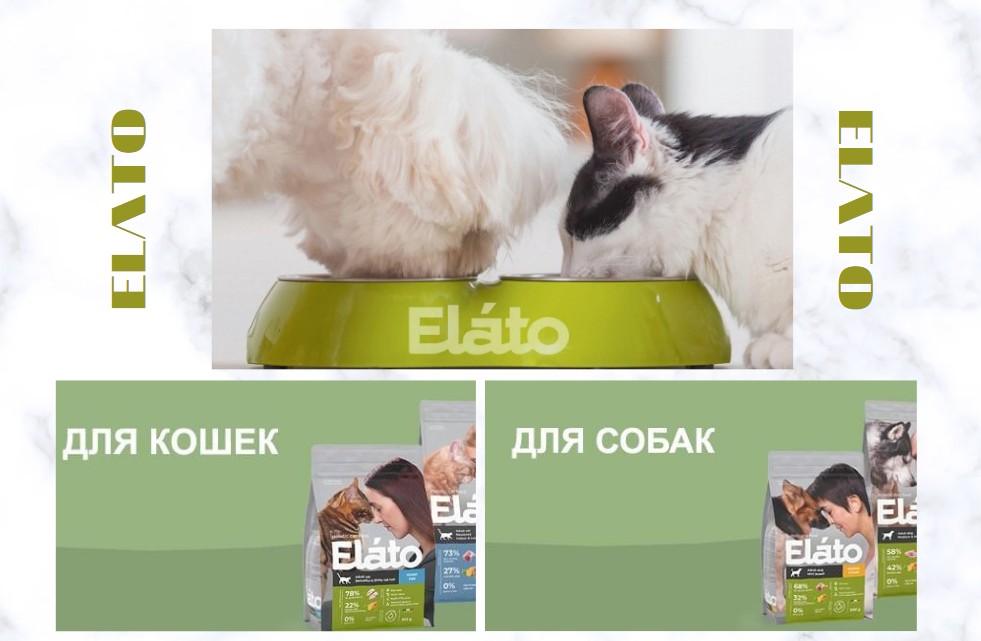 Ela*to-�������������� ���������������� ����������� ���� ������ ��������/�����������. �� �������� �� ������� �ca*na, ������� N*D. �������� ������!