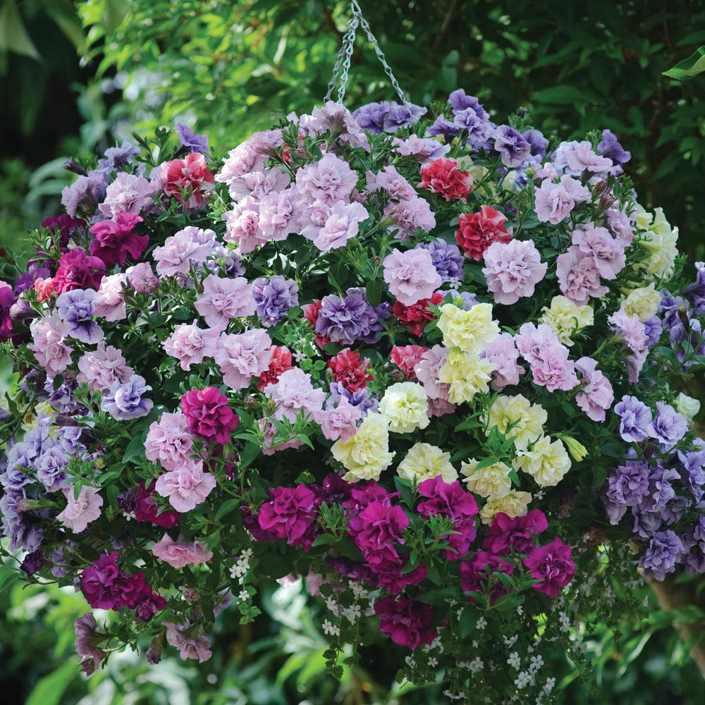 ��������! ��� � �������! ����� ���� - �������, ����������, ������. ����������� �����.