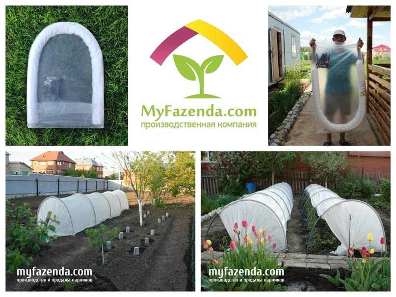 	���� �� 24/ 04. ��� �@����@. ��������� �����. �������. ���� - ������� . 12