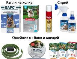 [b]���� �������. �������� ������ ���� � ������ ��� ����� ������� ��������! [/b]