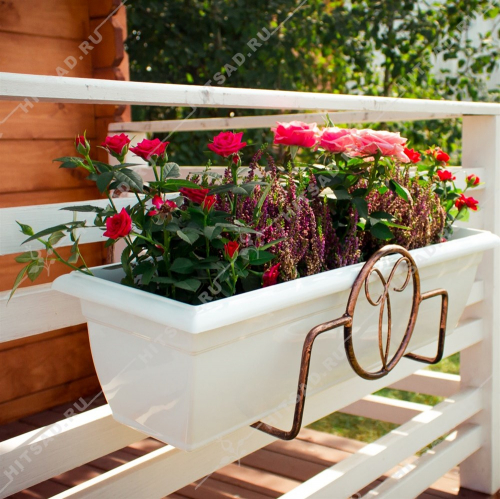 ������ - ������� ��� ����, �� ������� ����������� ���! ������� ������, �����, �������, ������� � �ӣ, ��� ���� ������! ����� 5/22