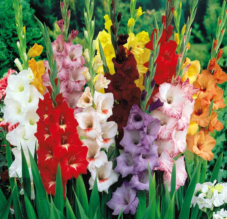 ��������! ���������� � ��������� �������������!