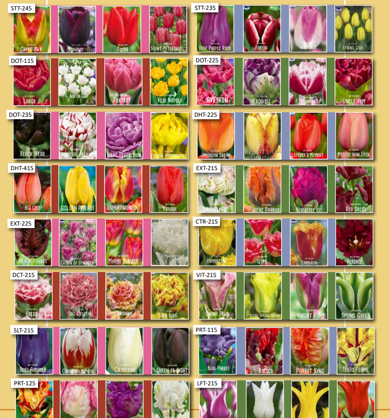 ���������� ����� Lefeber (���������) - ��������, ��������, ��������, �������, �����, �������, ������� � ������ ������. ��������� �� ����� 2022!