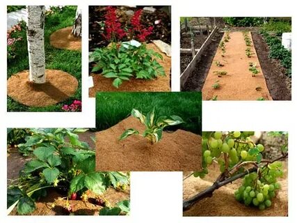 ������� �����������! ����� ��� ��������, ���������, ������� ���������, ����������, ������� ��� ��������, �������, ������ ��� ������� - ����� ���� �ӣ � ���� ������! 5/22