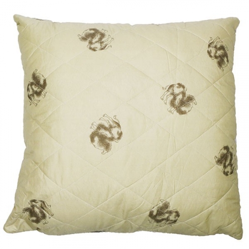 ���� �������. ��� ���������� �����, ������������, ���������, ��������� � �����, ������, �������, ��������, ��������� ������� ���������. ��������� ����� �������, ����� ����� ���������� ���������. ����� 75