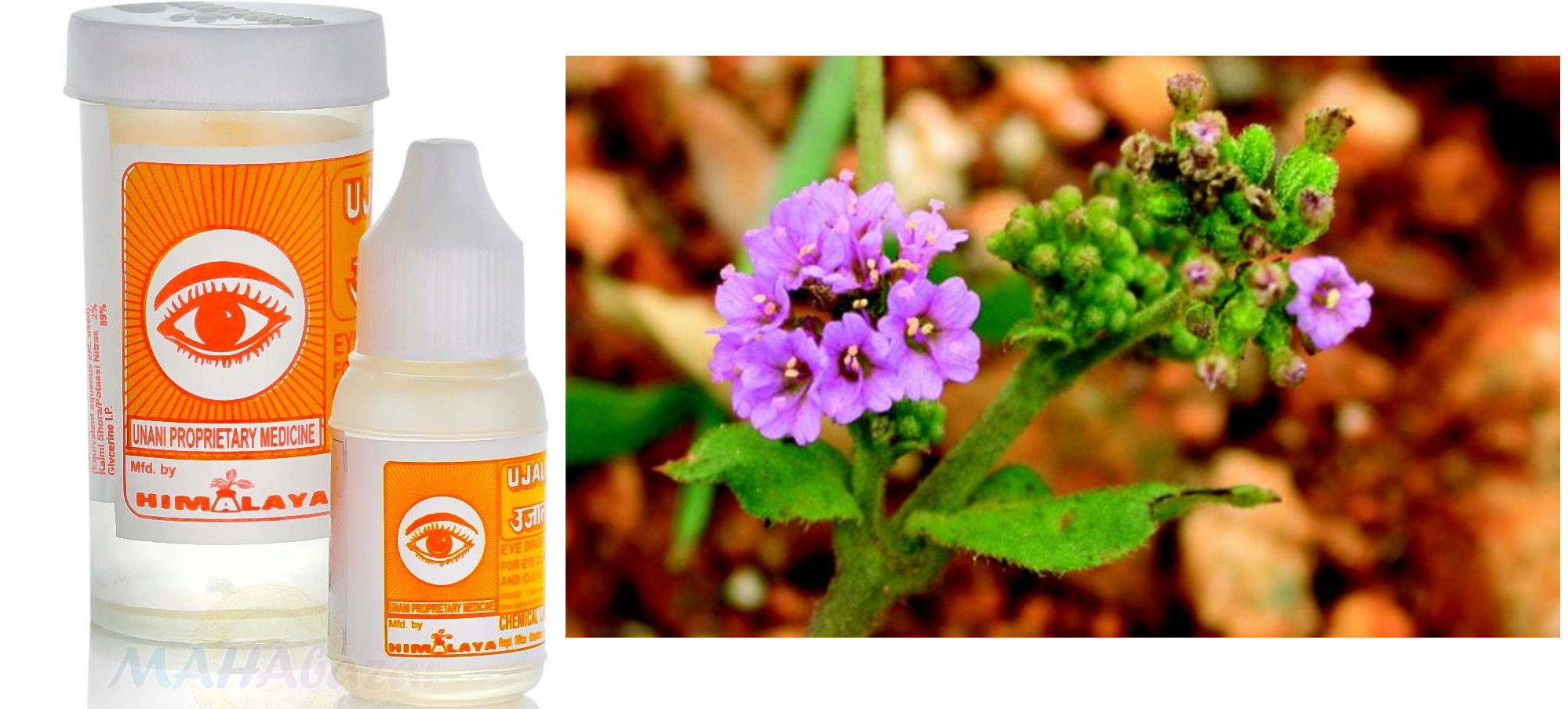 �������� ������. ������� ������ ������� �����. ������������� ����� ��� ����