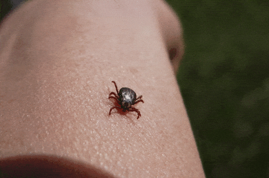 ��������� ��������, �����  �� ������, �������, ���, �� � �.�