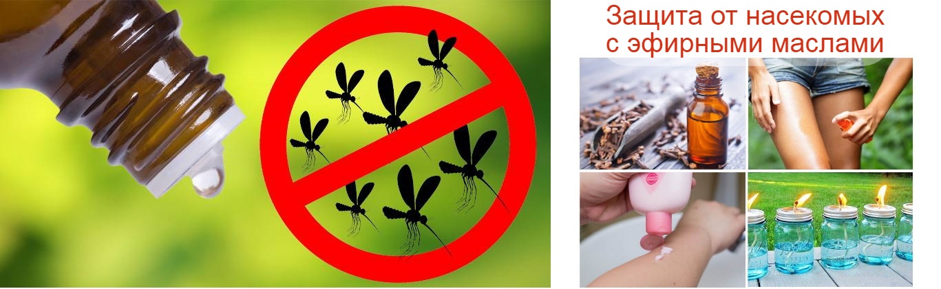 ������� ����� �� ��������� � �� ������.