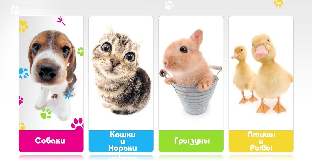 ����� ��� �������� �����-�������:El*ato, Br*it, Gra*ndorf, Alpen*Hof, Green*Qzin. ����� ��� �������� � ��������. ��������. ���������. �������� ������ ����������, ����, ������. �������� ��� ������� � ��.