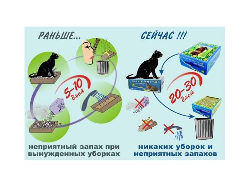 ��*����� ��� - ��� ������! ����������� ������� ������. ������ �� ���� ���� �����! ������� �������!