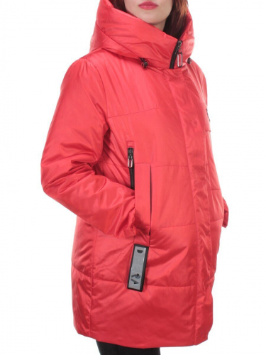 ����. ���������� ������� � ������� ������ �� �������! ������, ��������, ���������� �������!