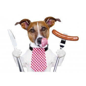 [b]���� �������. ������� � �������� ��������� � ������� ��� ����� ��������: ����, ������, ������, ������, ����� � ��. ����� ������, ����. ��� ����� ������ �������! �����18[/b]