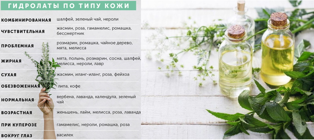 ����� ����� ��������? ��������� ��������� �� ���� ����