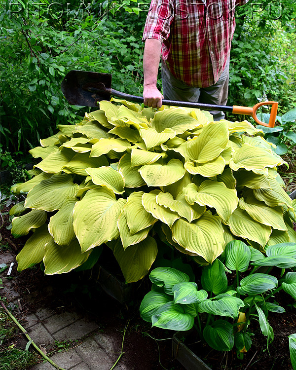 ���� �������. 4.06. ������ ��������! �����, ������������, ����������, �������� 