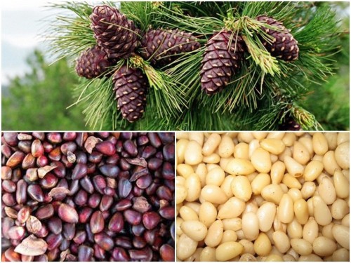 ������ ����! ���������� �������� ������