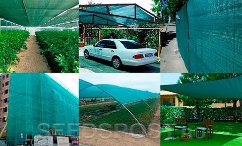 ��������� ��� ������� ����� �� ������� � ��������� ��������. ���������� � �������������� �����, �������� ����� � ����� �� ����, ��������� �����. �����. 4/22