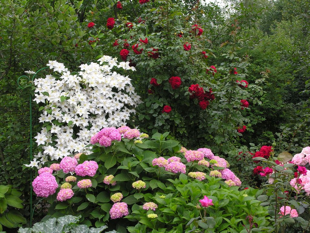 �� ����� �����! ������� ������! �������� ������� � ��� �� ���������� ������. ��������, �������, �����������-���������� ��������, ����, ������������ � ������ ������. 