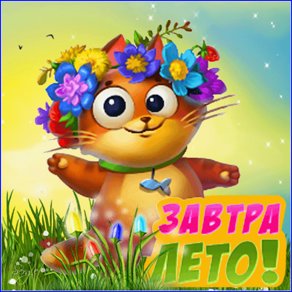 ��� ������