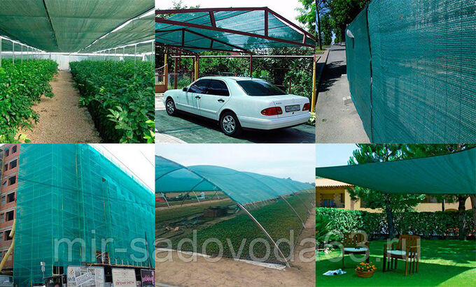 �������! ���������� ����� ��� ���� ������ ���������. Z�ma - ��� ������ �������� � ����. ������� ���������.  ��������.