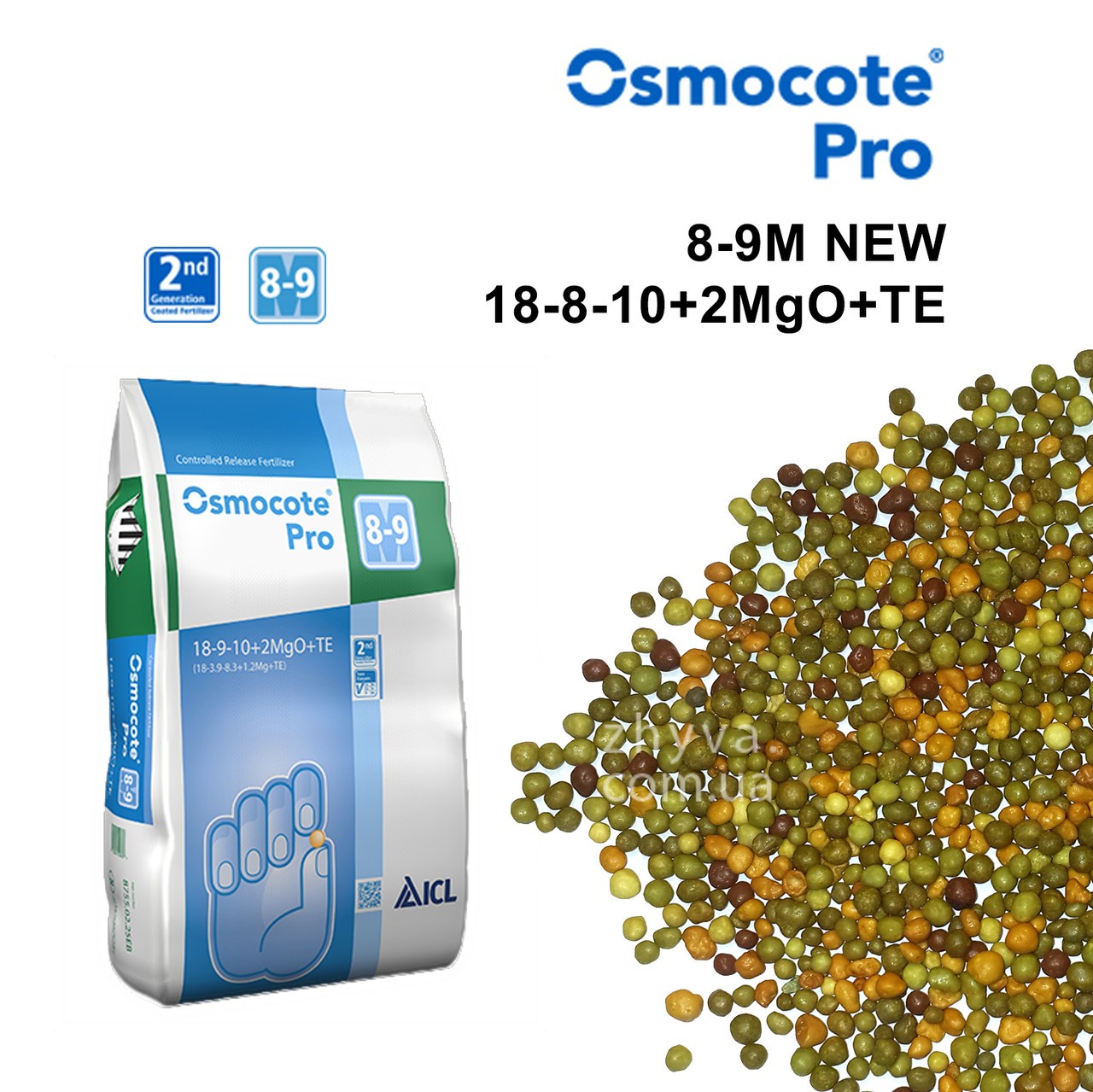 ���������������� ��������� -������ � ������ - �������, ���������, ������-�����, � ��.