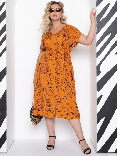 ���� �����