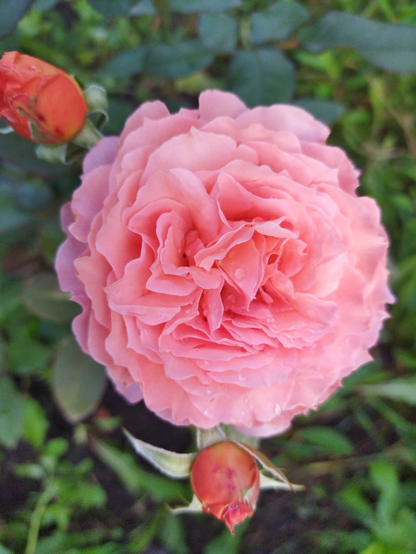 ���������!!! ����! �������� �. ������! 