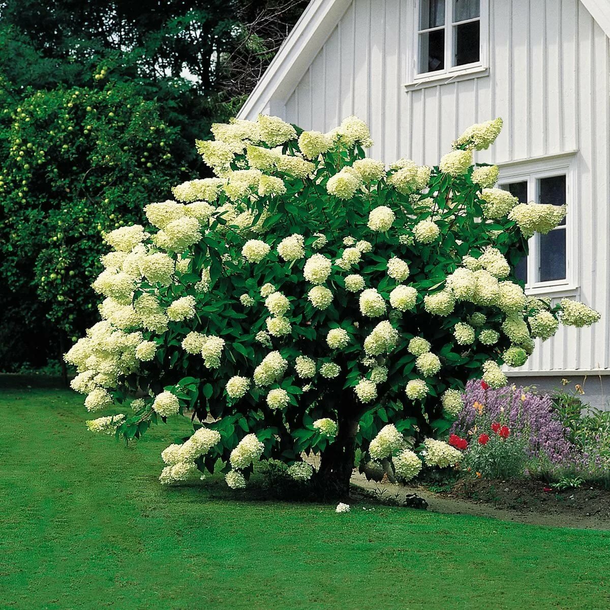 ������� ������! �������� ������� � ��� �� ���������� ������. ��������, �������, �����������-���������� ��������, ����, ������������ � ������ ������. 2/22