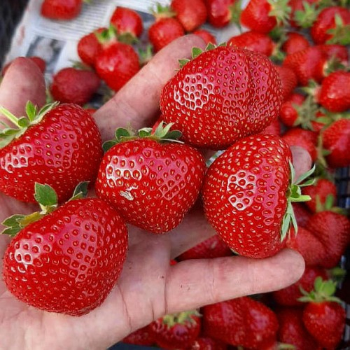 ���� �� 20/06. ���� � ������� ���������� �������� ��������/���������! ���� �� ��������� ������� � ����������, ��� ������ � �����? ��� ��� � ���� �� ��� ������? ��� ������ ���������� ��� ���!