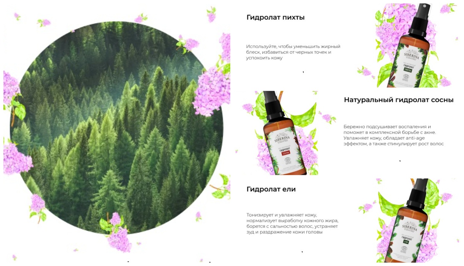 �������� �������� ���� ��� ������� ����)))). �������� ��������� �� ����������� ������������ �� Siberina!!!!