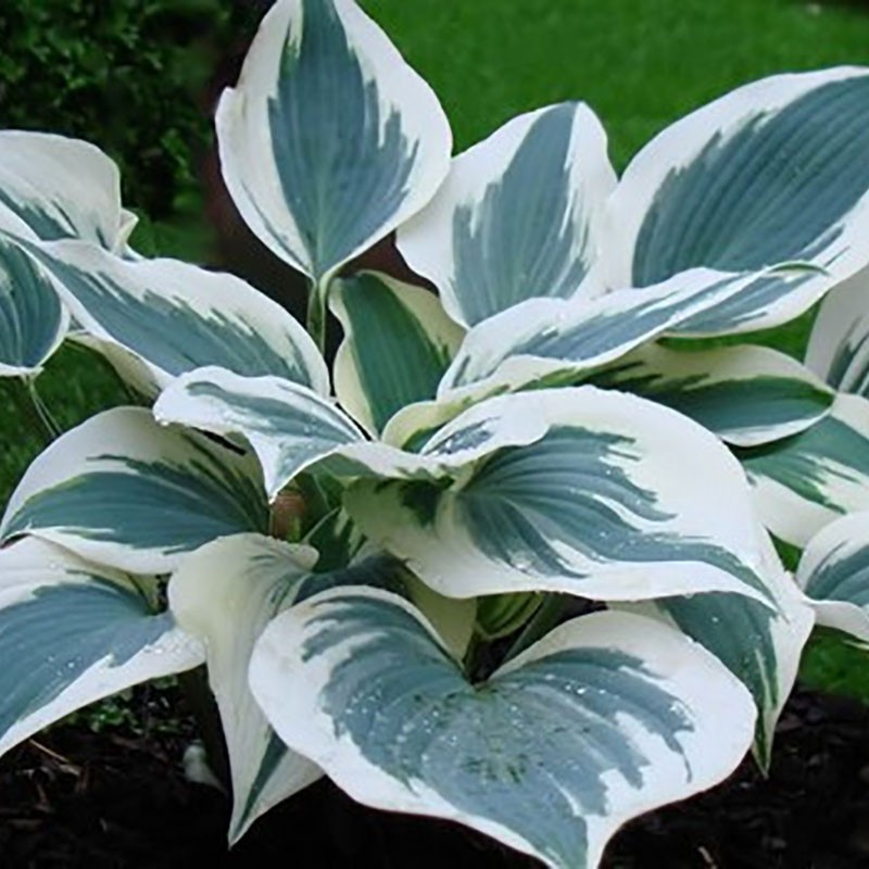 [b]���� ������� �� 26 ����. �����, �����, �������, ����, �������, �������, ���������, ���������, ��������� � ������ ������[/b]